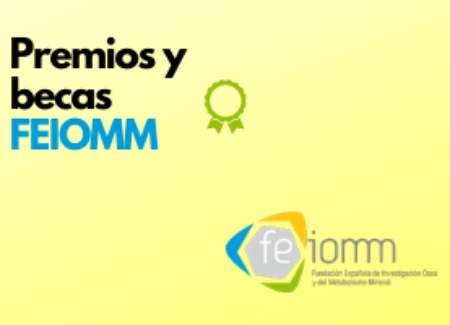 Premios y Becas FEIOMM: Premio a la mejor publicación sobre Vitamina D, Premio de apoyo a la revista ROMM y Becas a los mejores trabajos sobre FLS