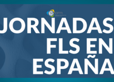 Las Jornadas FLS en España concluyen con el taller “Problemas y soluciones en la implantación de una FLS”
