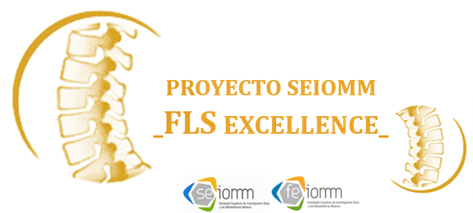 Logotipo Proyecto Seiomm-FLS EXcellence