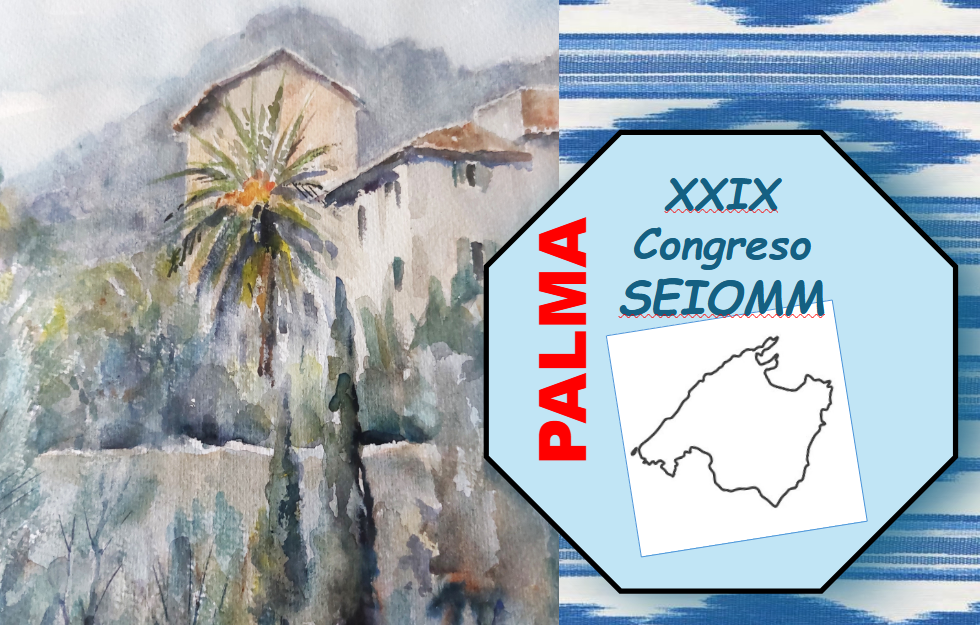 Logo Seiomm Palma