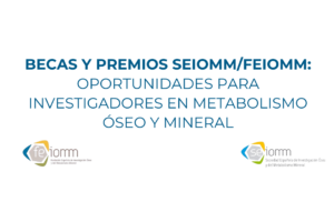 Becas y premios SEIOMM/FEIOMM: oportunidades para investigadores en metabolismo óseo y mineral